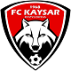 Team logo